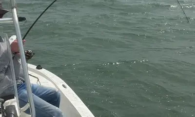Port O'Connor Report Video 0