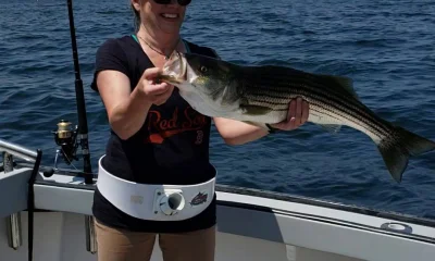Gloucester Report Video 1