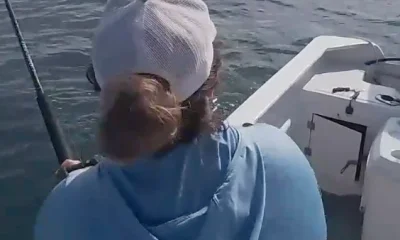 San Jose del Cabo Report Video 0