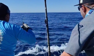 Bianca Strikes! Unforgettable Marlin Experience