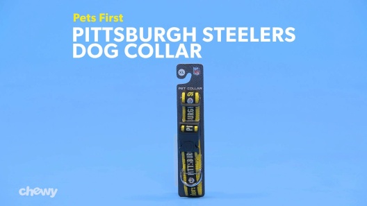 Play Video: Learn More About Pets First From Our Team of Experts