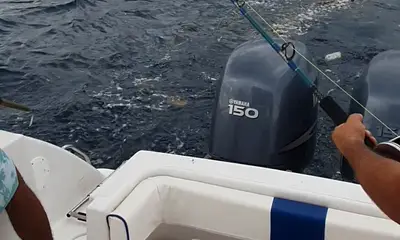 Panama City Report Video 0