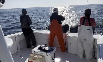 New Hanover County Report Video 4