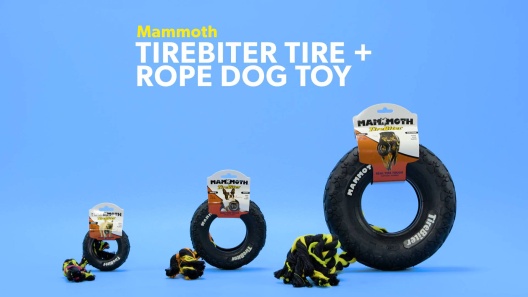 Play Video: Learn More About Mammoth From Our Team of Experts