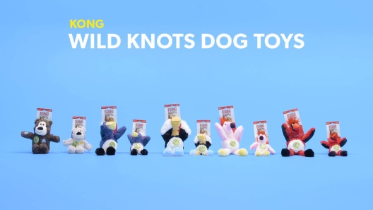 Play Video: Learn More About KONG From Our Team of Experts