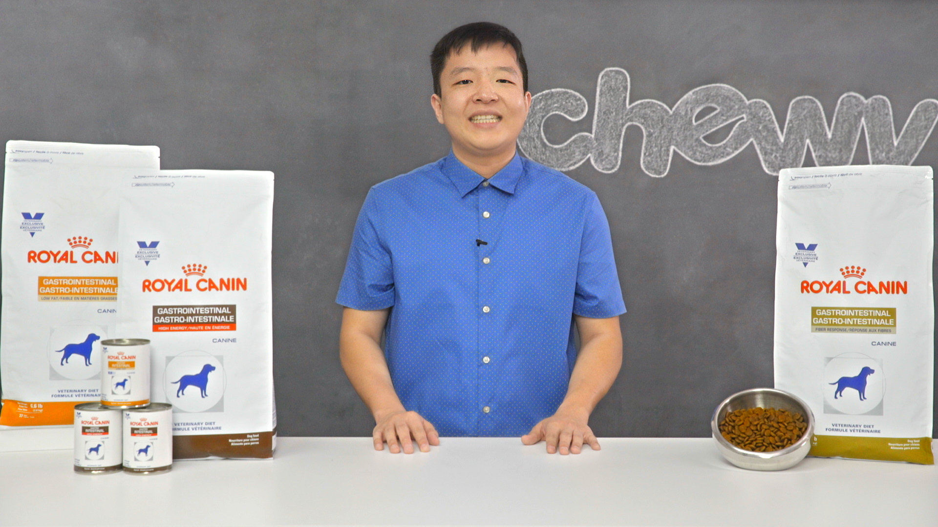 royal canin high energy gastrointestinal dog food