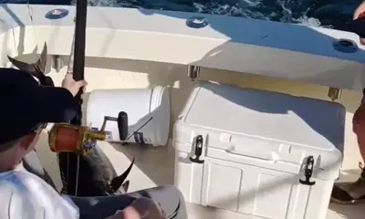 Montauk Report Video 0