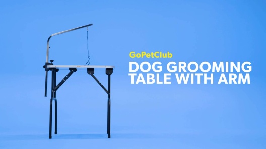 Play Video: Learn More About Go Pet Club From Our Team of Experts