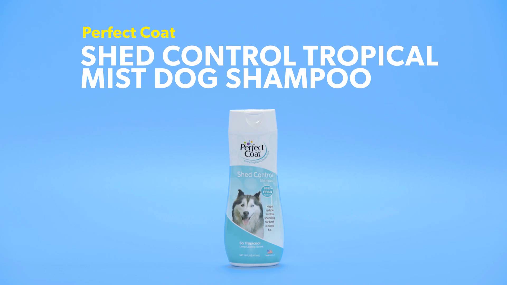 Perfect coat clearance shed control shampoo