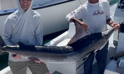 San Jose del Cabo Report Video 0