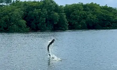 San Juan Report Video 0