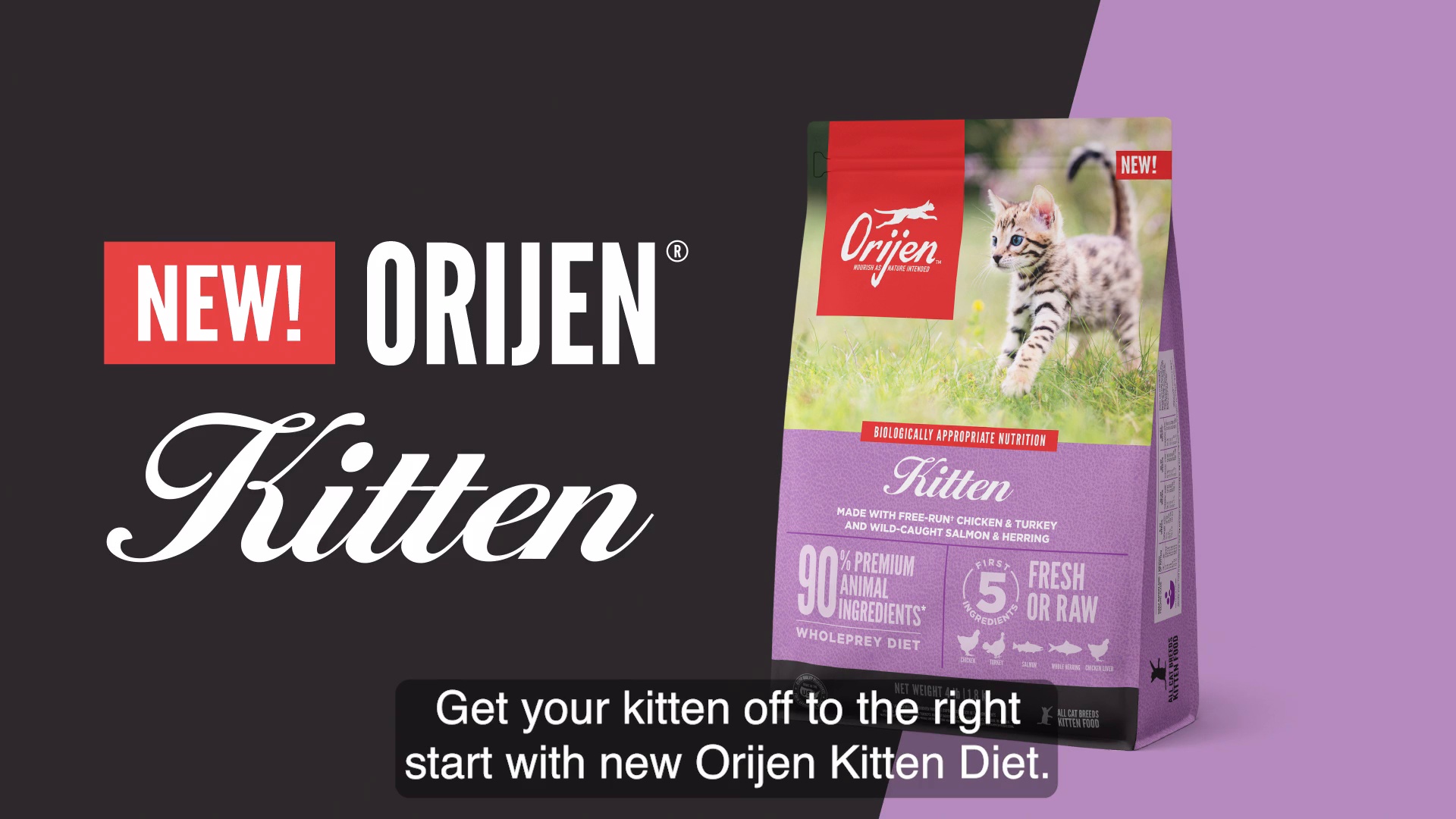 ORIJEN Free Run Chicken Turkey Wild Caught Salmon Herring Grain Free Dry Kitten Food 4 lb bag Chewy