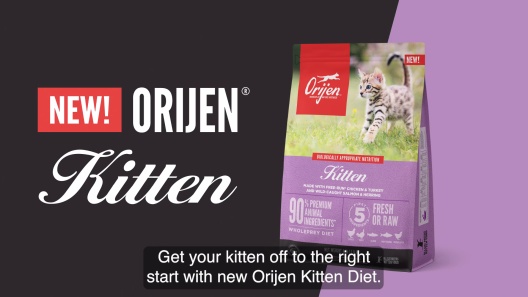 Play Video: Learn More About ORIJEN From Our Team of Experts