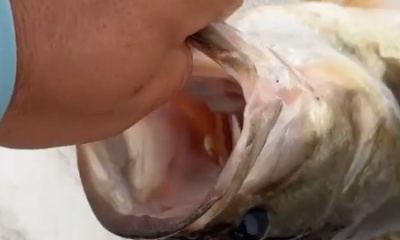 Clewiston Report Video 1