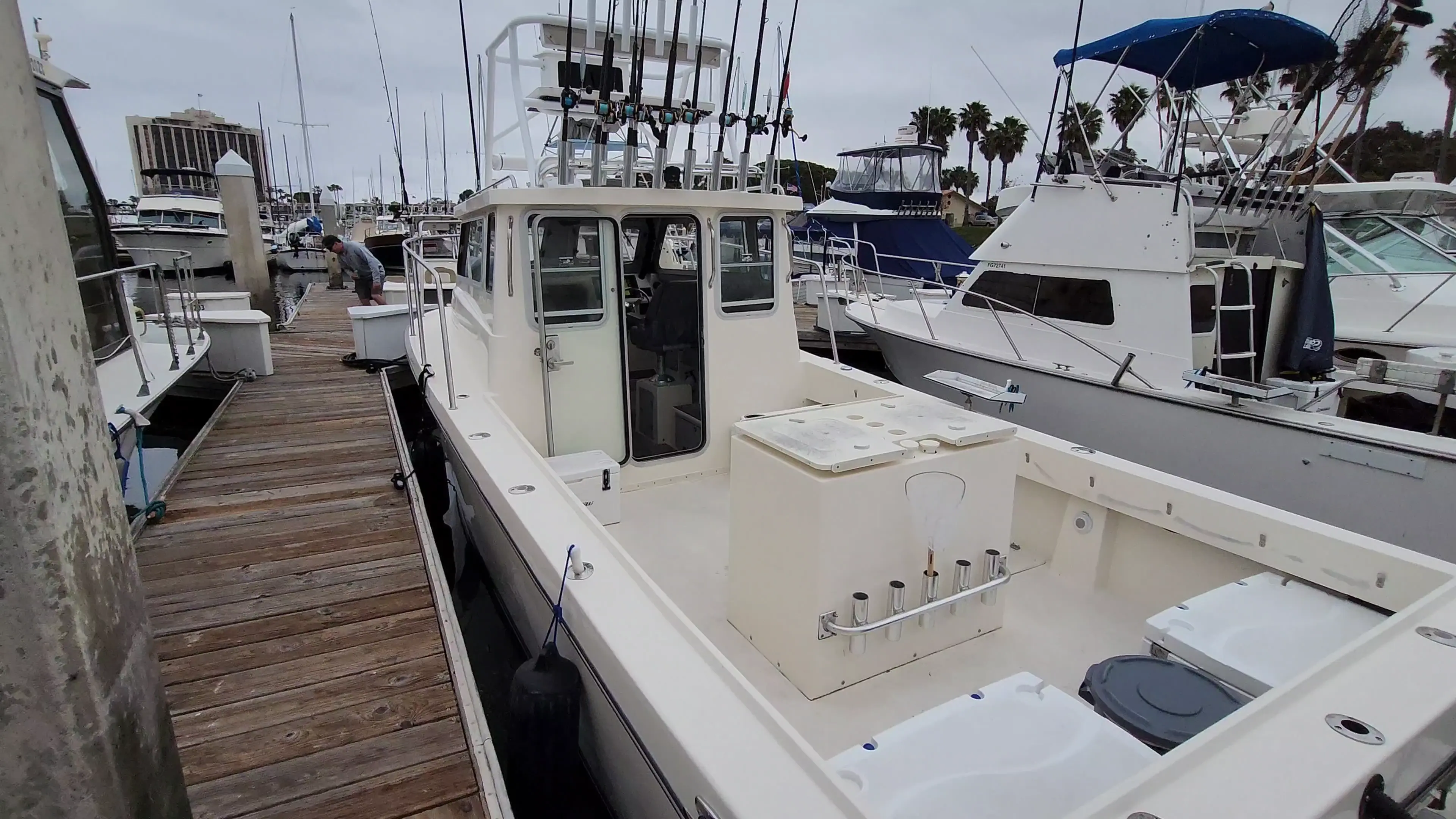 Business Card: Pelican Sportfishing