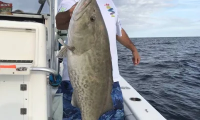 Madeira Beach Report Video 2
