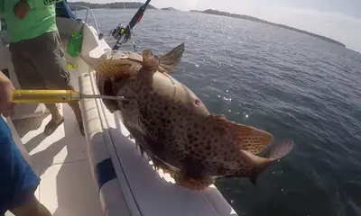 Panama City Report Video 0
