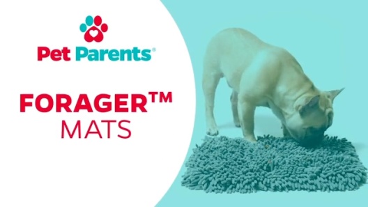 Play Video: Learn More About Pet Parents From Our Team of Experts