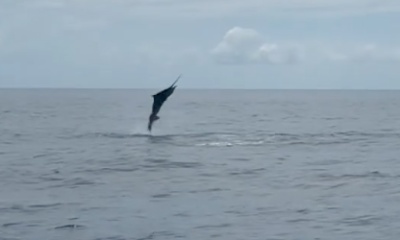 Fishing with \uf8ff Gers\u00f3n