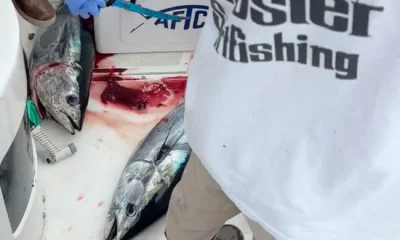 San Diego Report Video 0