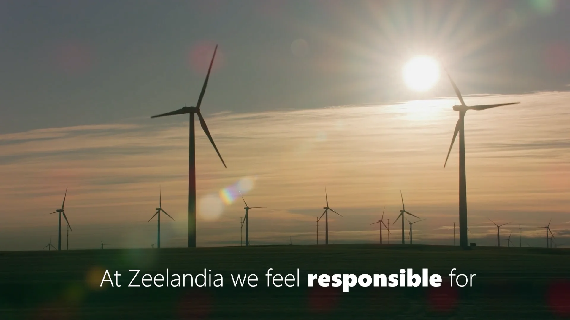 Zeelandia Netherlands joins forces with Zeeuwind for a greener