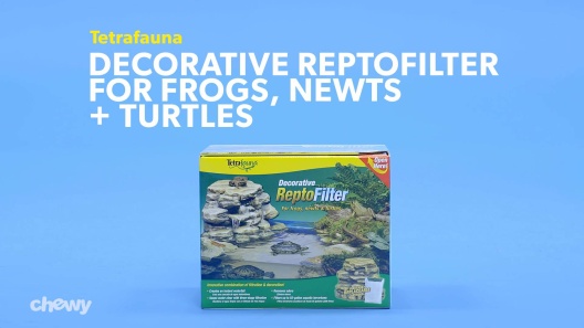 Play Video: Learn More About Tetrafauna From Our Team of Experts
