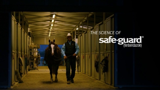 Play Video: Learn More About Safe-Guard From Our Team of Experts