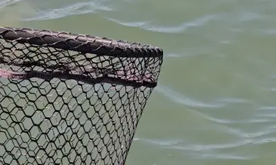 Murrells Inlet Видео отчет 1