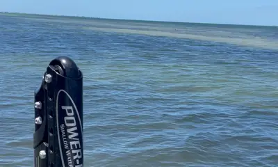 Palmetto Report Video 0