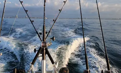 Orange Beach Report Video 0