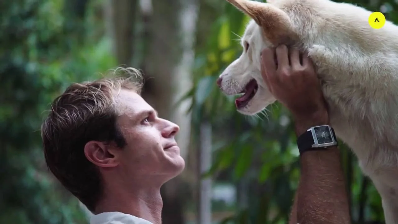 Animal Studies Courses | TAFE Queensland Animal Studies Courses | TAFE Queensland