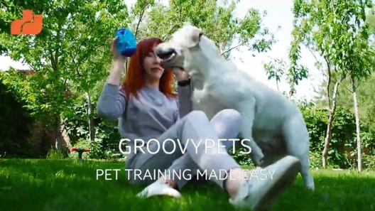 Play Video: Learn More About GROOVYPETS From Our Team of Experts