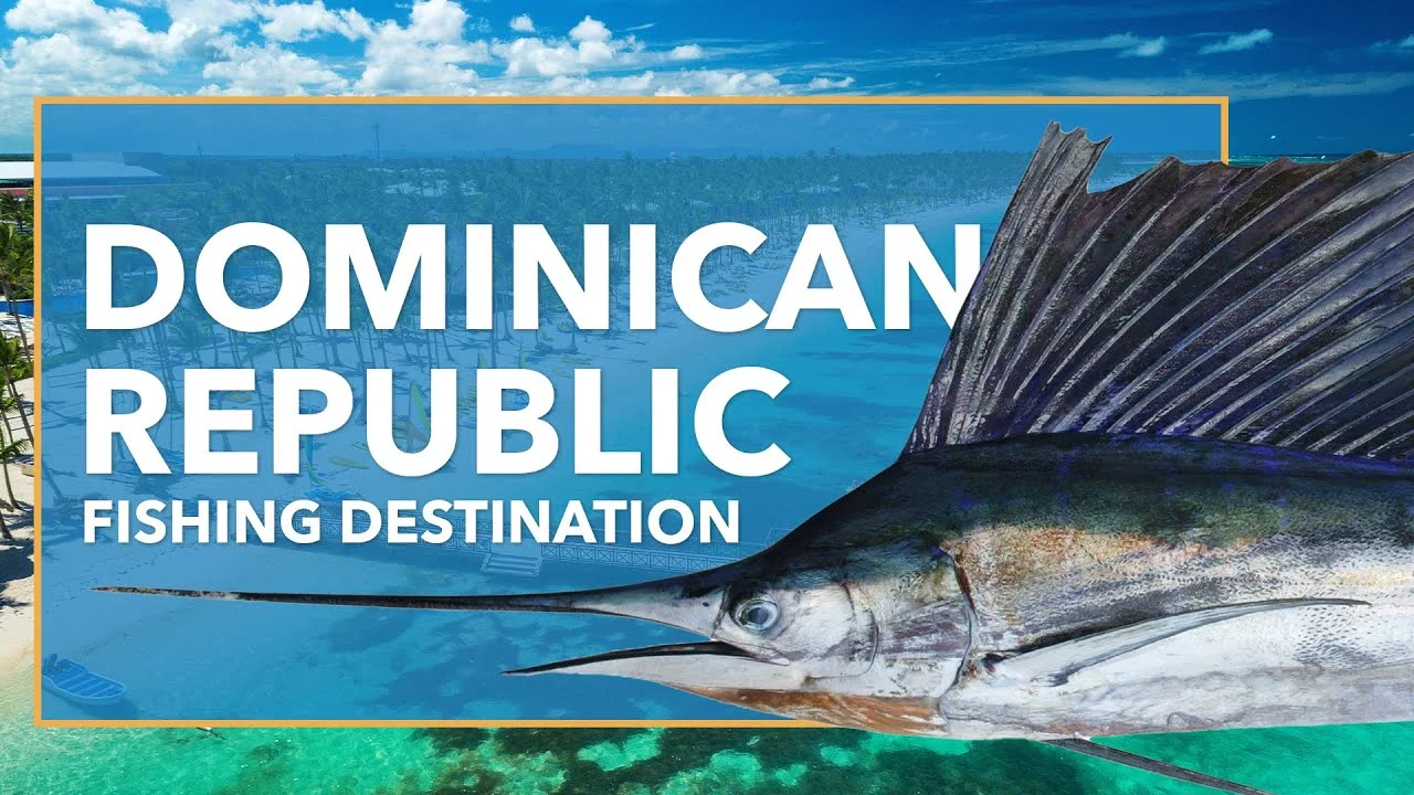 Dominican Republic Fishing: The Complete Guide (Updated 2022)