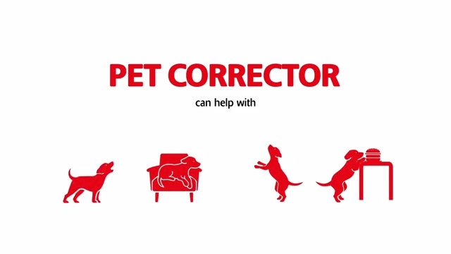 pet corrector spray for dogs