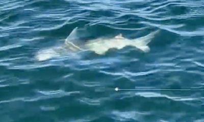 Panama City Beach Report Video 0