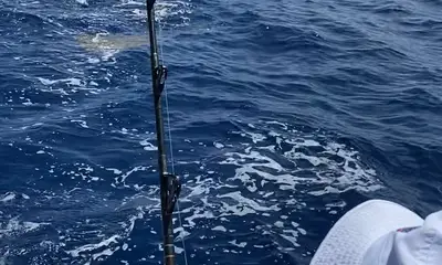 Great first time fishing 