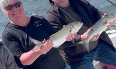 Wanchese Report Video 0