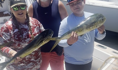 More mahi
