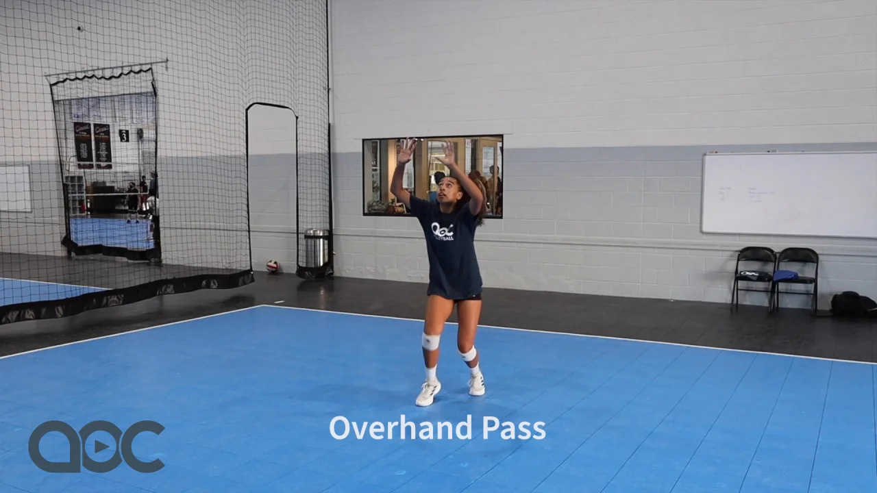 Basic Volleyball Rules and Terms - The Art of Coaching Volleyball