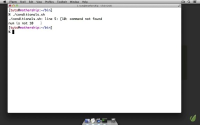 Advanced Command Line Techniques - Conditional Statements