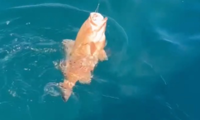 Destin Report Video 0