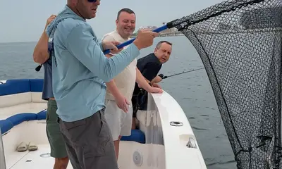 Dubai Report Video 0