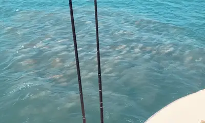 Nags Head Report Video 0