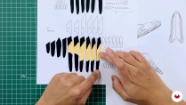 Lesson image