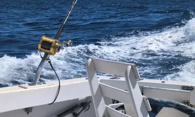 Rough seas, need iron stomach 