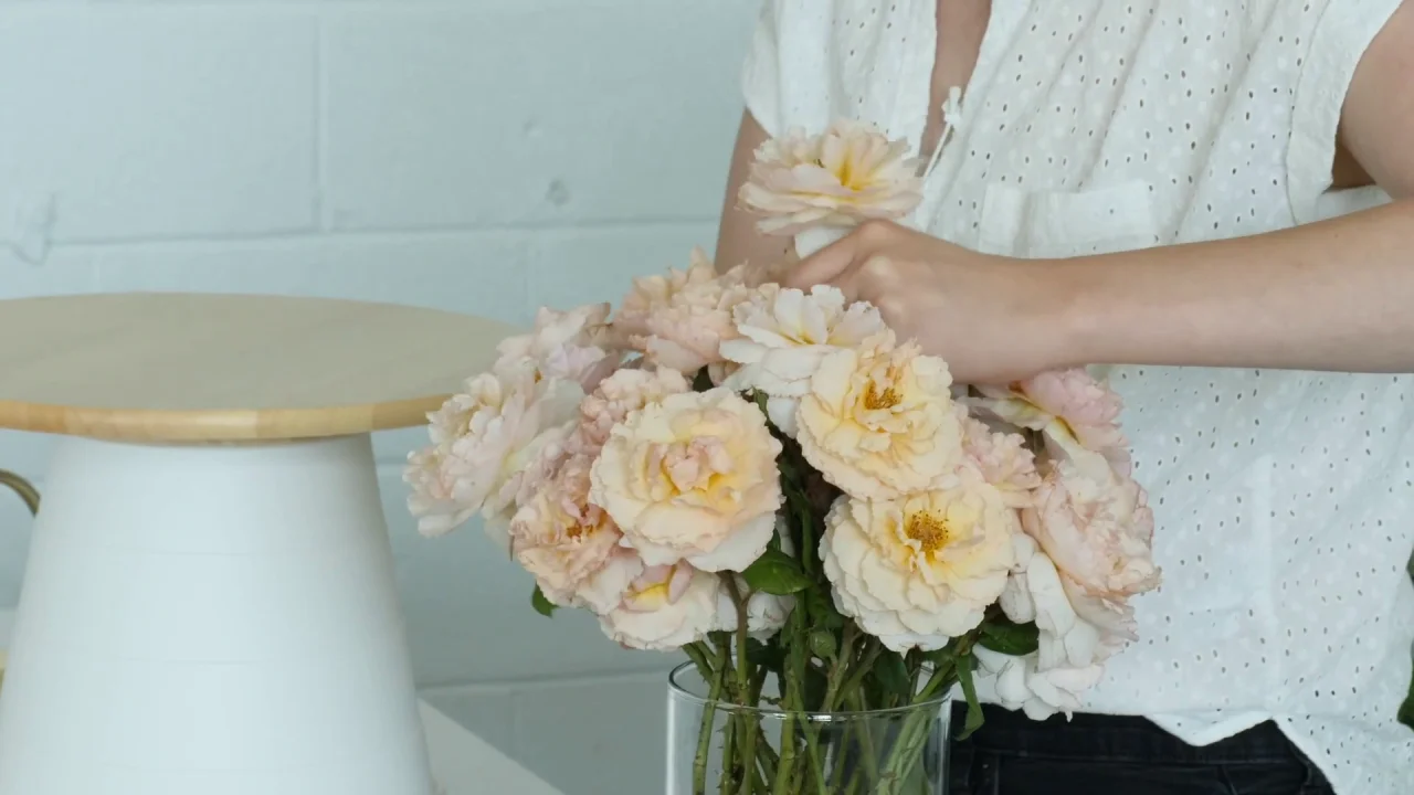 Peach Summer Roses for Flower Arrangements