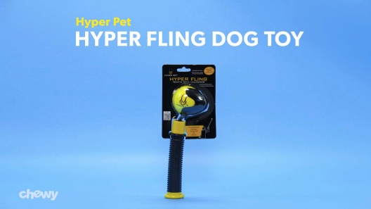 Discontinued - HYPER PET Hyper Fling Dog Toy - Chewy.com