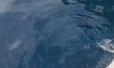 Best boat experience ever