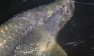 Boca Grande Report Video 0