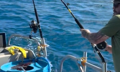 mahi biting 